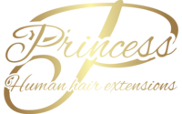 princess human hair extensions logo color princess human hair extensions logo color
