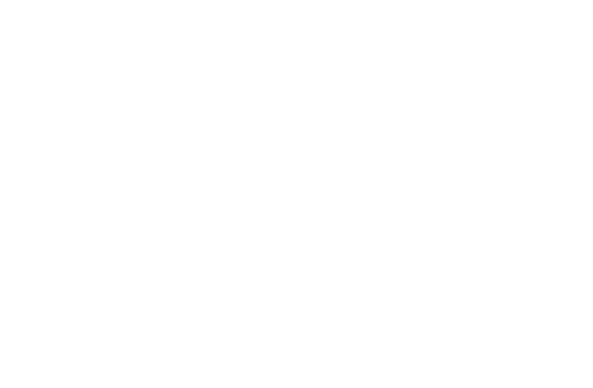 princess human hair extensions logo white