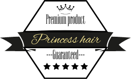 princess hair extensions logo princess hair extensions logo